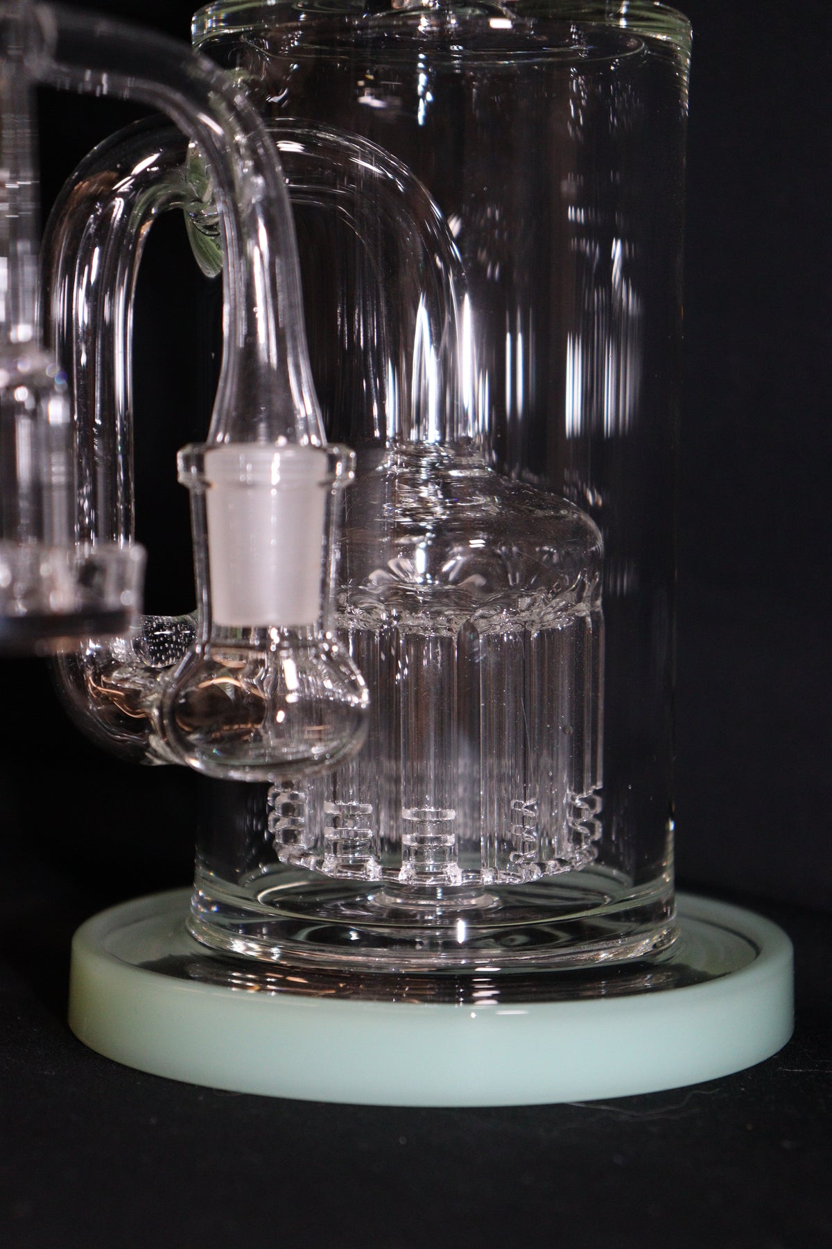 MAV - 12 Arm Sycamore Bundle