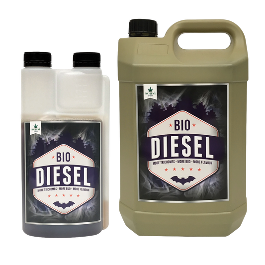 Bio Diesel - Bloom Booster