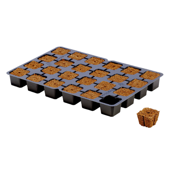 Eazy Plug - Starter Plugs
