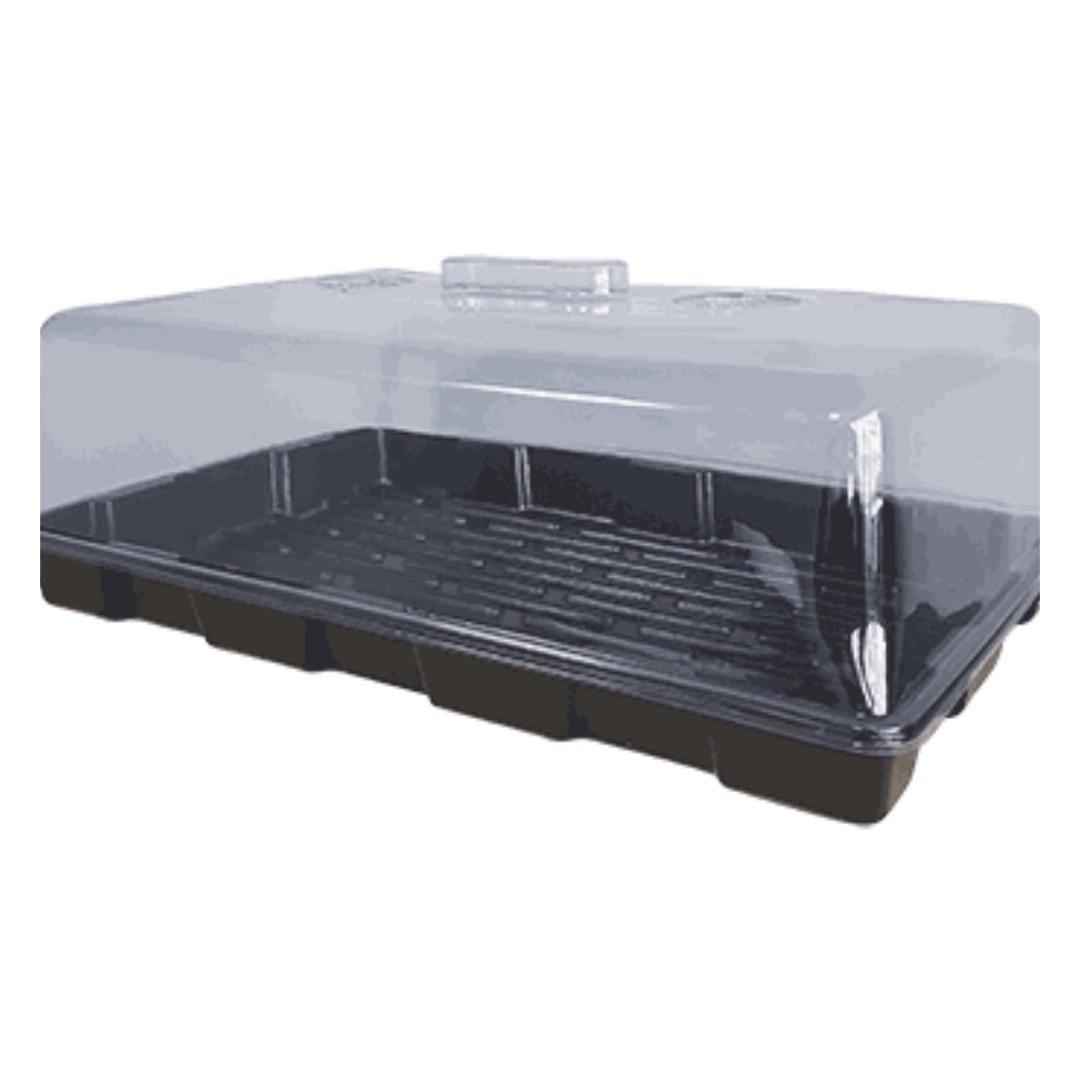 Jumbo Clone Tray